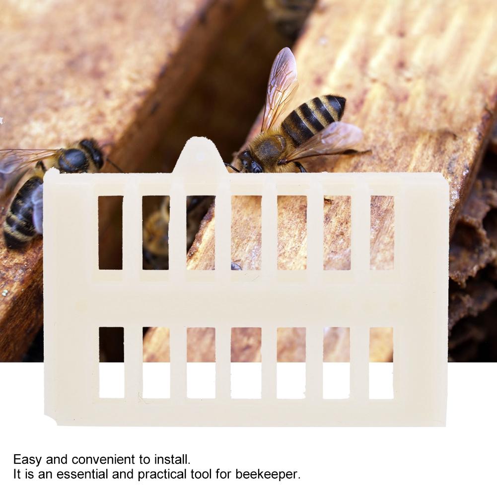 100pcs Beekeeping Tool Plastic Bee Cage Foster Cups Prison King Bee House