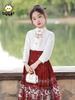 2025 Girls' Modern Hanfu Mianqun Set - Spring/Summer Chinese Tang Costume
