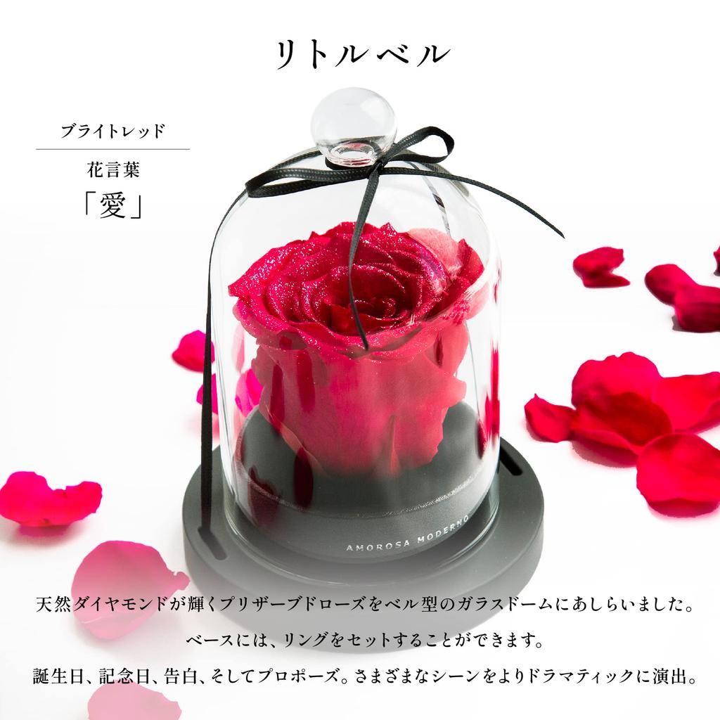 AMOROSA Preserved Flowers, Diamond Rose, Little Bell, Bright Red Rose, Gift, Flowers, Birthday, Wedding, Anniversary, Proposal, Dried Flowers, AM19-30