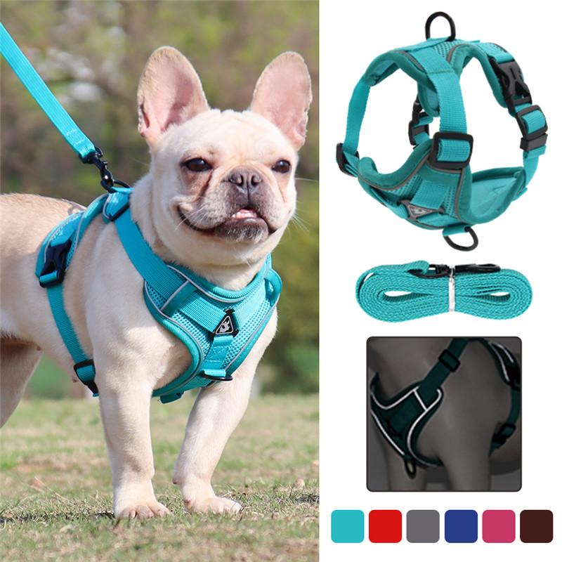 chest lead harness