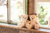 Steiff Ben Teddy Bear 30cm 113963