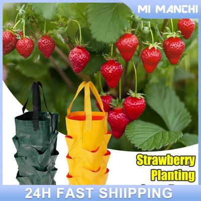 Grow Hanging Bag Vegetable Seeds For Planting Vegetable Garden Supplies Garden Garden Buildings Garden Tools For Gardening