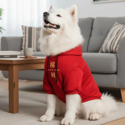 Kleding en schoenen – Honden truien