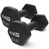 Dumbbells Weights for Exercise Cast Iron Dumbbells Non-slip Set 2X4 Kg
