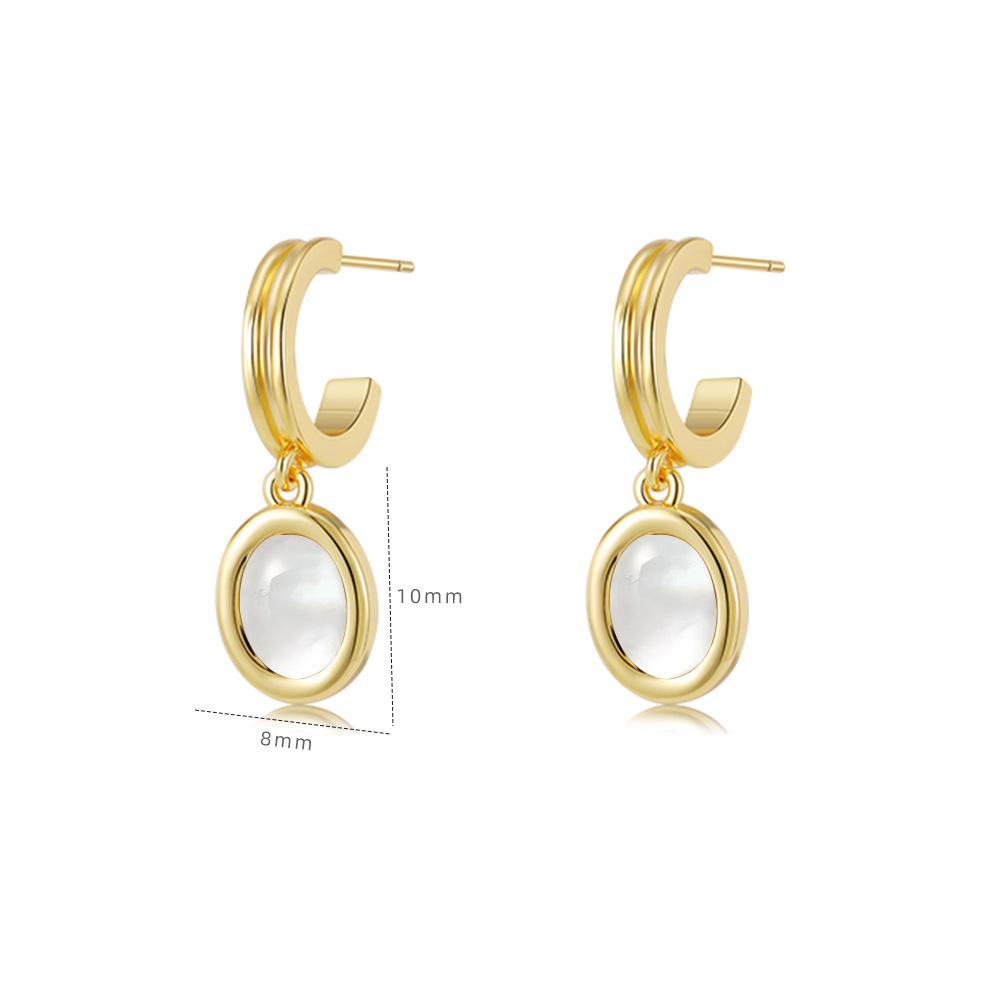 Autumn and Winter Light Luxury Tiger's Eye Stone Oval Earrings Maillard Black Agate Earrings Women's Niche Titanium Steel Jewelry