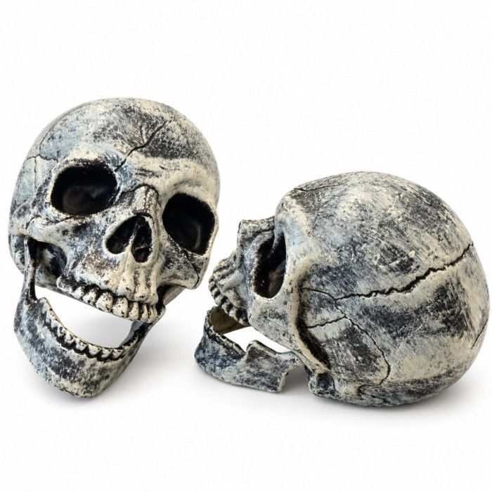 Lot de 2 Têtes de Mort 15 cm pour Décoration Halloween – Crânes Squelette, Décoration Effrayante pour Fête et Soirée Halloween