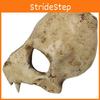 Skull Wolf Mask Horror Prop With Resin Construction For Cosplay And Themed Celebrations