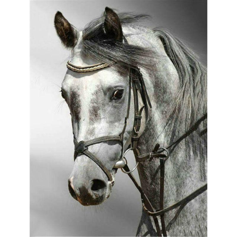 Diamond Painting Horse Full Round Diamond Embroidery Animals Picture 5D Diy Mosaic Rhinestone Home Decoration