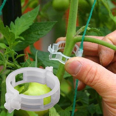 100PC  Tomato Clips Supports Connects Plants Vines   Cages