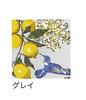 Friends Hill Short Apron Citrus Bird Gray