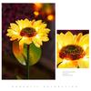 Solar Sunflower Light LED Garden Artificial Flower Light with 36956 Sunflowers Outdoor Waterproof Stake Light for Backyard Flower Bed