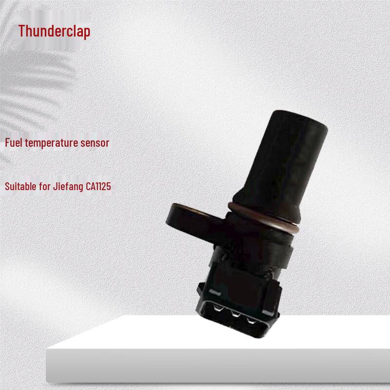 Leixiang Fuel Temperature Sensor