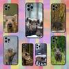 Cute Wild Boar Animal For iPhone 8,7,11,12,15,14,13,16,17,Plus,Pro Max,XS,X,XR,SE,Mini,Soft Silicone Black Case