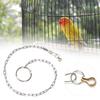 Stainless Steel Pet Birds Parrot Foot Chain Anklet Training Harness  (Psittacula Eupatria)