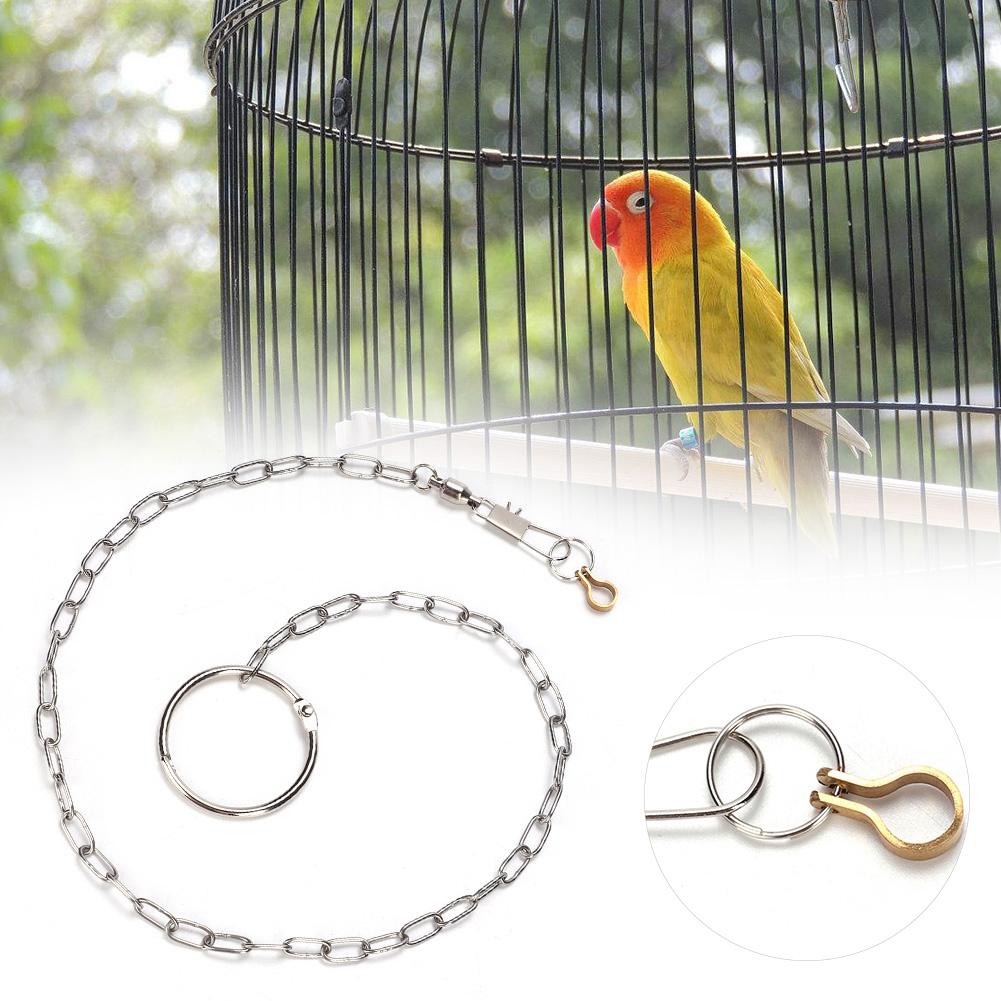 Stainless Steel Pet Birds Parrot Foot Chain Anklet Training Harness (Psittacula Eupatria)