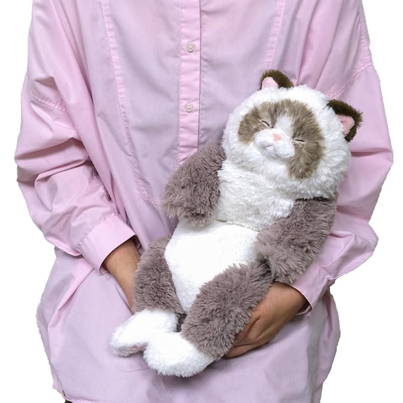 Sun Lemon Lap Cat Good Night Ragdoll GYBR 22×14×47cm Stuffed Toy Animal Cute Cat Cat Greige P-1263