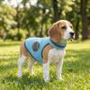 Atmungsaktive Netz-Hunde-Kühlweste Reflektierendes Sommer-Hunde-T-Shirt Hitzschlag-Prävention