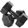 Set di 2 Manubri Kronos Manubri 2X6 Kg