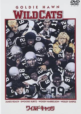DVD DVD - Wildcats DL11583 Japonia Filmy i DVD Używane