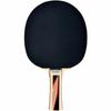 Ping Pong Racket Schildkröt Top Team 600