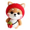 Felting Kit DIY For Beginners With