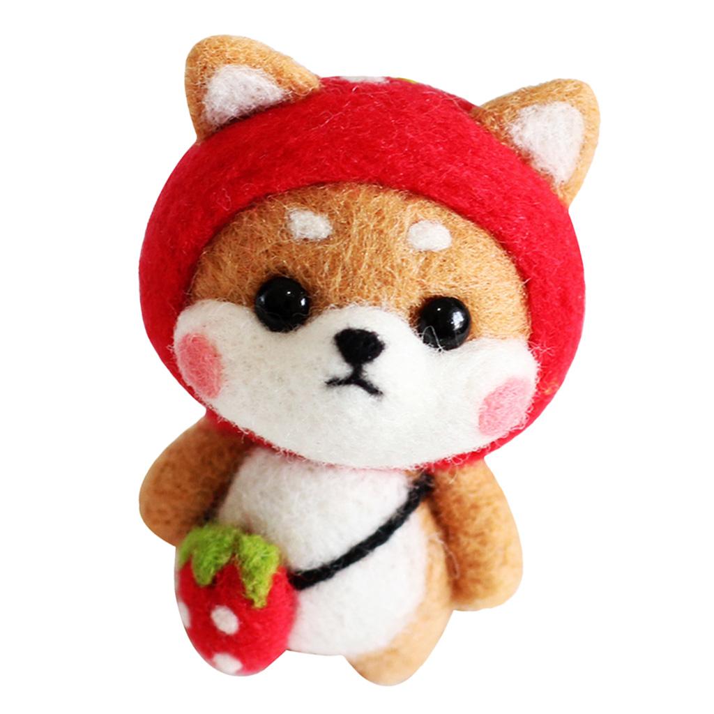 Felting Kit DIY For Beginners With