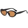 New Elliptic Frame Women Sunglasses UV Protection UV400 Retro Sunglasses Anti-Reflective Black Shades Driving