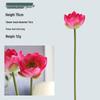 Realistic Lotus Flower Arrangement: Artificial Lotus Pod, Leaf, and Blossom for Living Room or Buddhist Hall Decor