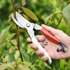 5-Piece Garden Tool Set: Shovel, Pruner, Hoe, Rake – Essential Gardening Kit