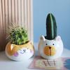 Ceramic Animal Potted Creative Cute Animal Succulent Plant Small Flower Pot Cute Desktop Art Ornaments Giraffe Panda Flower Vase