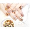 Iridescent Nail Art and Eyeshadow Glitter Sequins