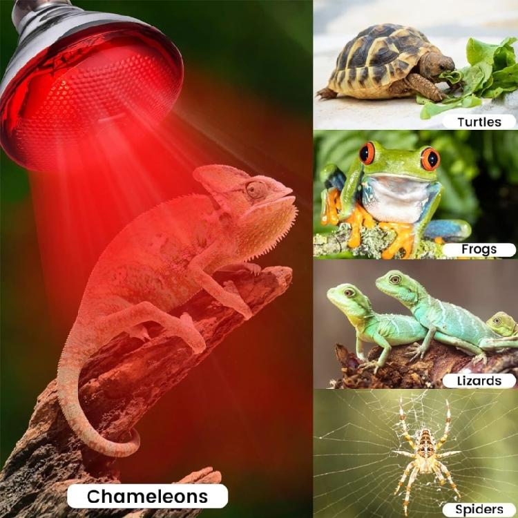 2pcs 250W Heat Lamp Red Light for Piglets Baby Chicken and Small Animals with E26 Base