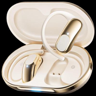 Lenovo LK7 Wireless Bluetooth Ear-hook Sports Headphones