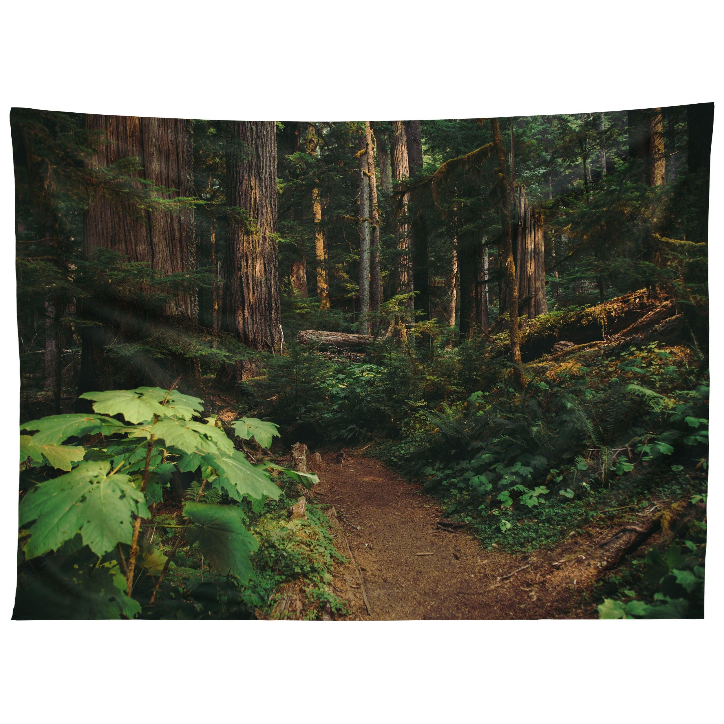 WOODLAND LANDSCAPE tapestry 75x100