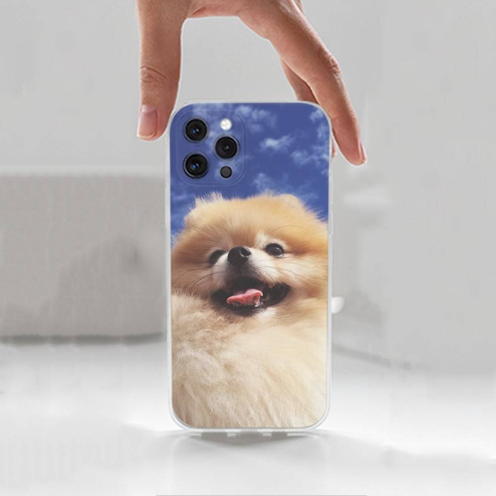 Cute P-Pomeranian Dogs Case For iPhone 17,11,12,13,16,14,15,Pro,Max,Plus,X,XS,XR,SE,Mini Transparent Soft Silicone