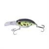 Crankbait For, Hard Plastic with Vibration Rattle Beads