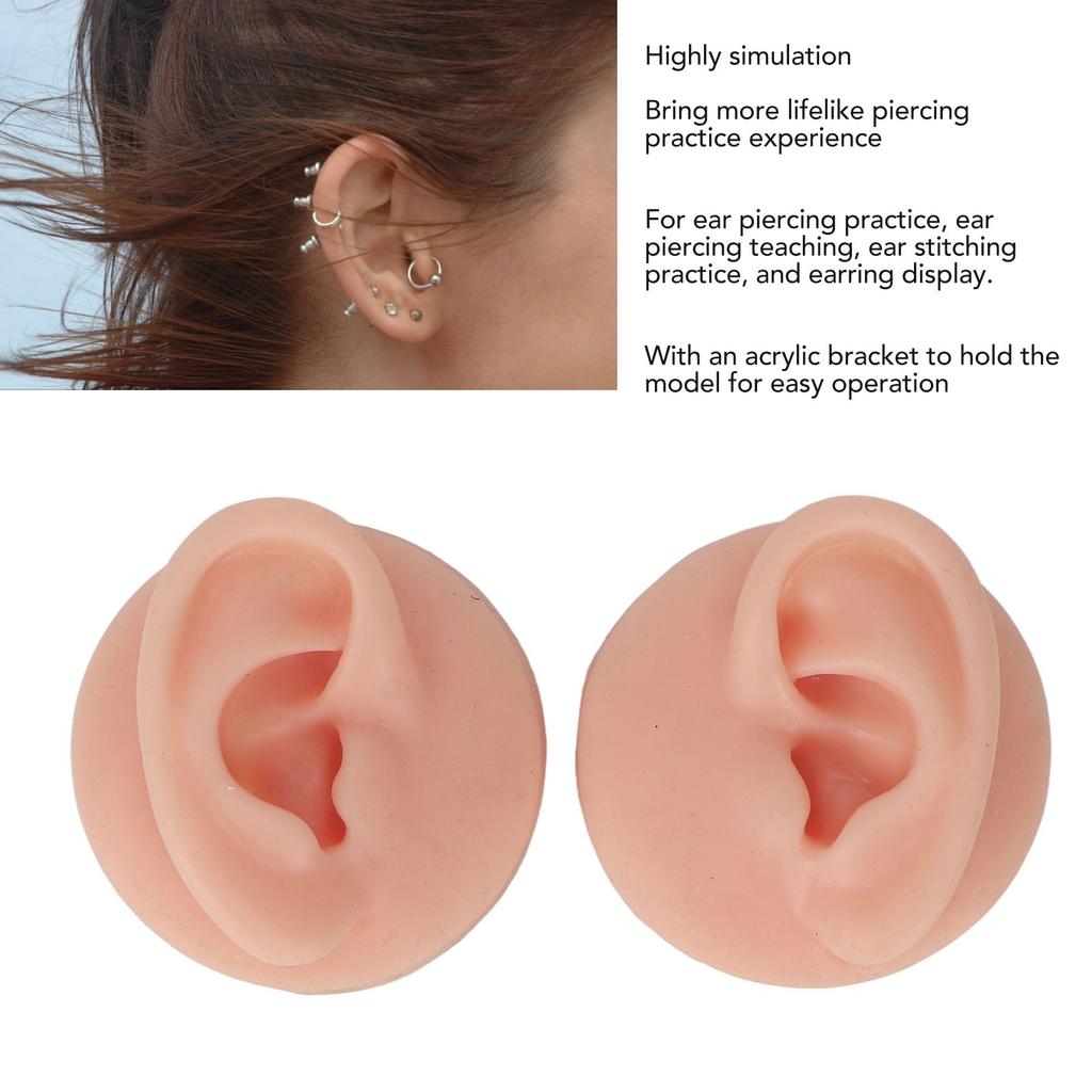 Ear Model Soft Silicone High Simulation Clear Structure Human Ear Model for Piercing Practice