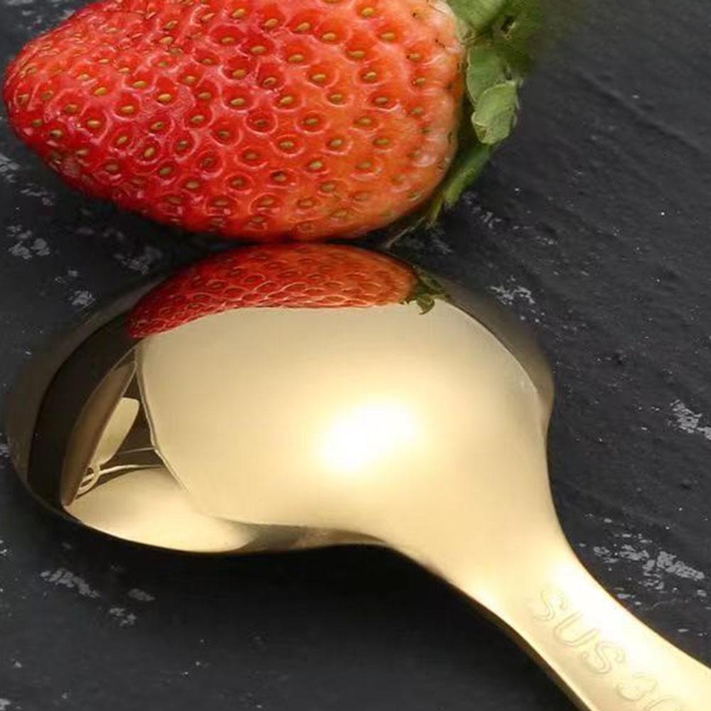 Stainless Steel Scoop Adorable Design Short Handle