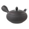 Smoked Pine Suitable for Gyokuro and Kabusecha Made In Tk005 Tokoname-yaki Teapot, Horyu, Bark, 300ml, Ceramesh, Tea, Japan, Boxed,