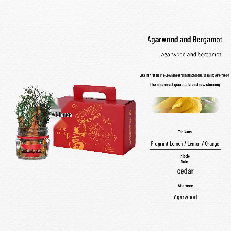 Miaoyijia DIY Aromatherapy Auspicious Ornament Set