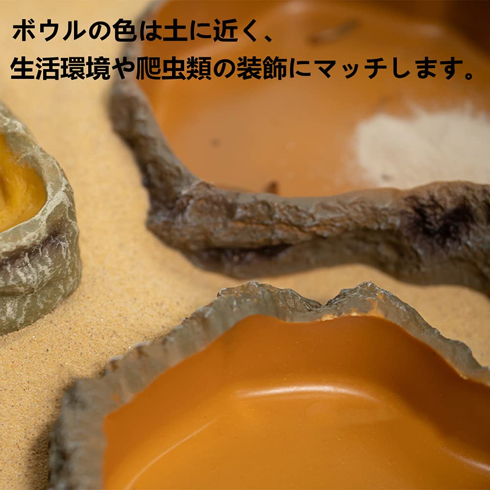 MUYYIKA Reptile Feeding Dish Feeding Tableware Drinking Fountain Breeding Case Accessories Turtle Gecko Lizard Spider Scorpion Amphibians Feeding Dish