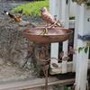 Garden Birdbath Sturdy Iron Outdoor Bird Bath for Outside Vintage Standing Birdbath Bowl for Outdoor Garden Patio Yard