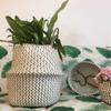 Handmade Foldable Seagrass Flower Pot Storage  Wicker Basket Rattan Straw Home Garden Wave Pattern Planter Pots Laundry Basket