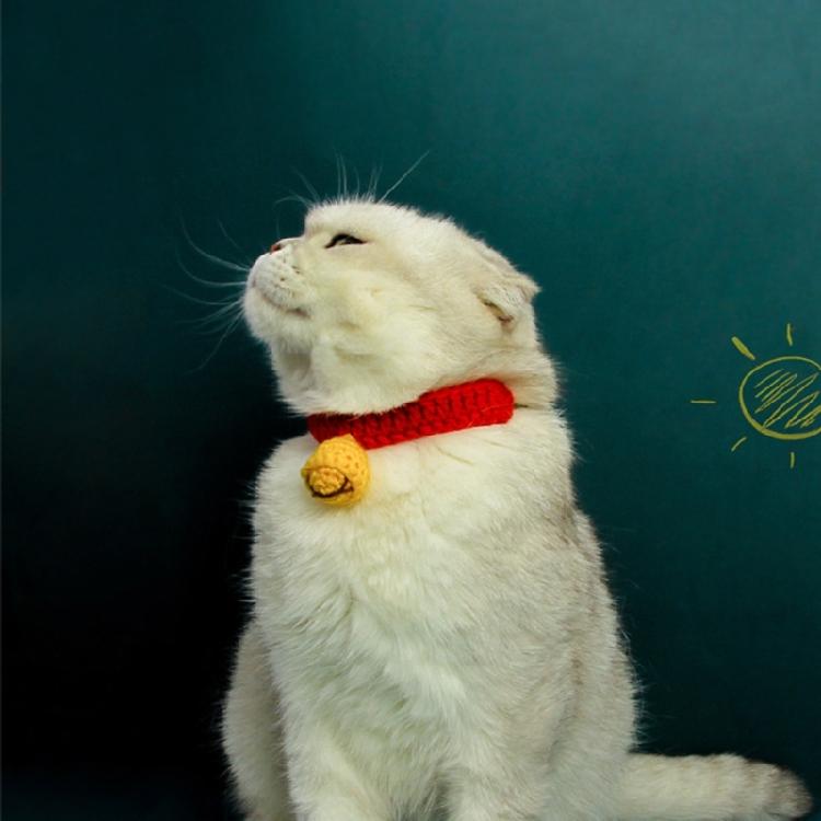 Neck Protective Collar Small Dog Collar Cat Necklace Winter Silent Bell Collar