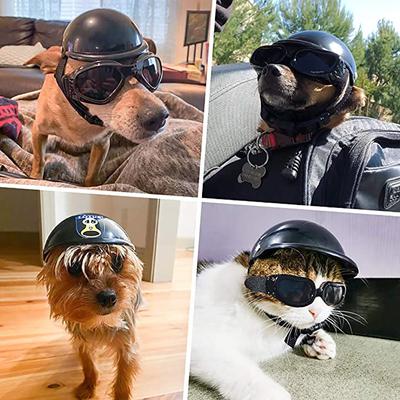 Animale domestico Sagit, Casco, Moto, Cane, Casco, Cagnolino, Casco, Per, Bicicletta, Gatto, Cappello, Equitazione, Cucciolo, Casco