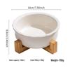 Pet Supplies: Top-Selling Cat & Dog Feeding Bowls & Drinking Utensils