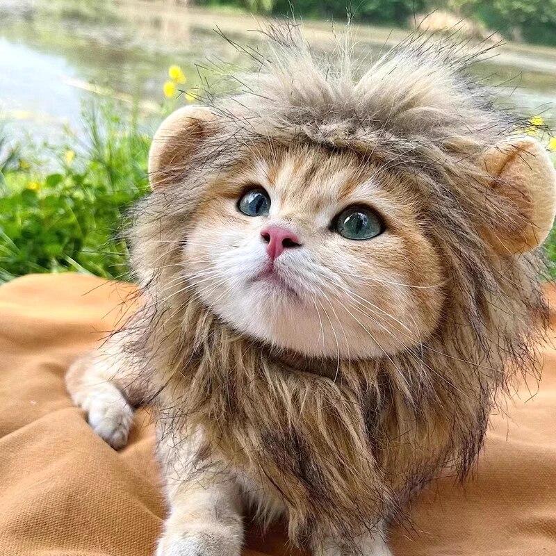Cat Cosplay Dress Up Pet Hat Cute Lion Mane for Cat Puppy Lion Wig Costume Party Decoration Halloween Christmas Gatos Costume Cosplay Toy Pet Supplies