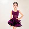 Kids Professional Latin Dance Dress Girls Tango Salsa Samba Ballroom Dance Performance Stage Outfits Costume
