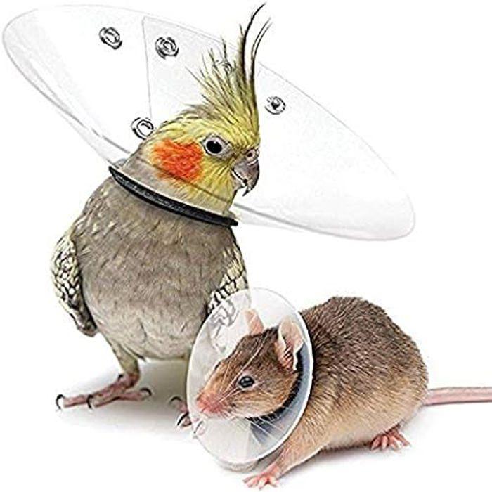 Collier - KVP - Saftshield - Multicolore - Petit - Rongeurs