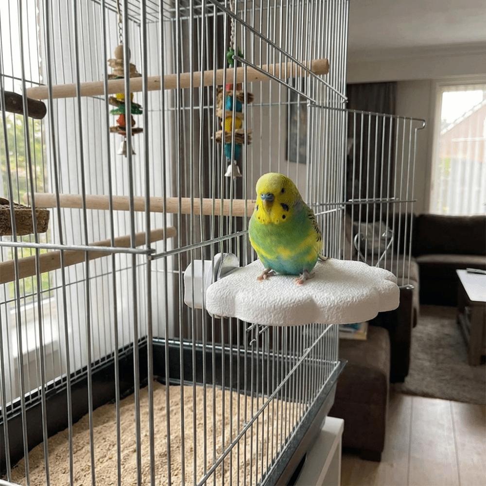 Wear Resistant Bird Resting Platform Bite Resistant Beak Grinding Stand Claw Sharpener  Sun Conure